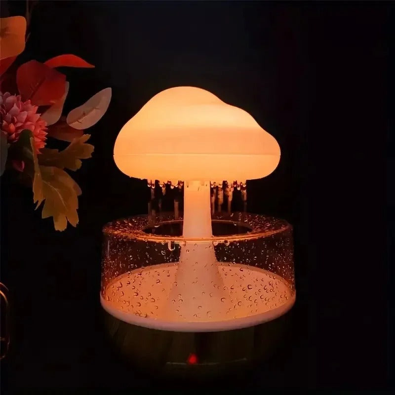 RainFall Humidifier